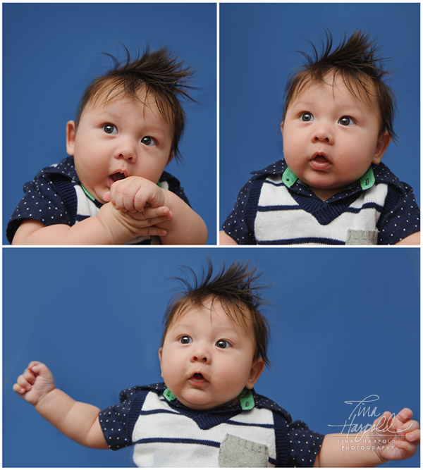 baby session photo collage