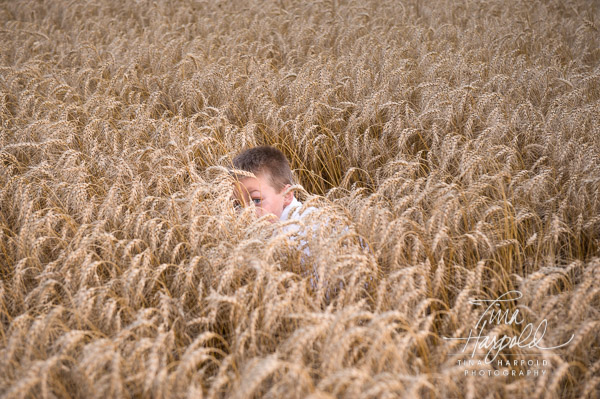 Seymour family session wheat field